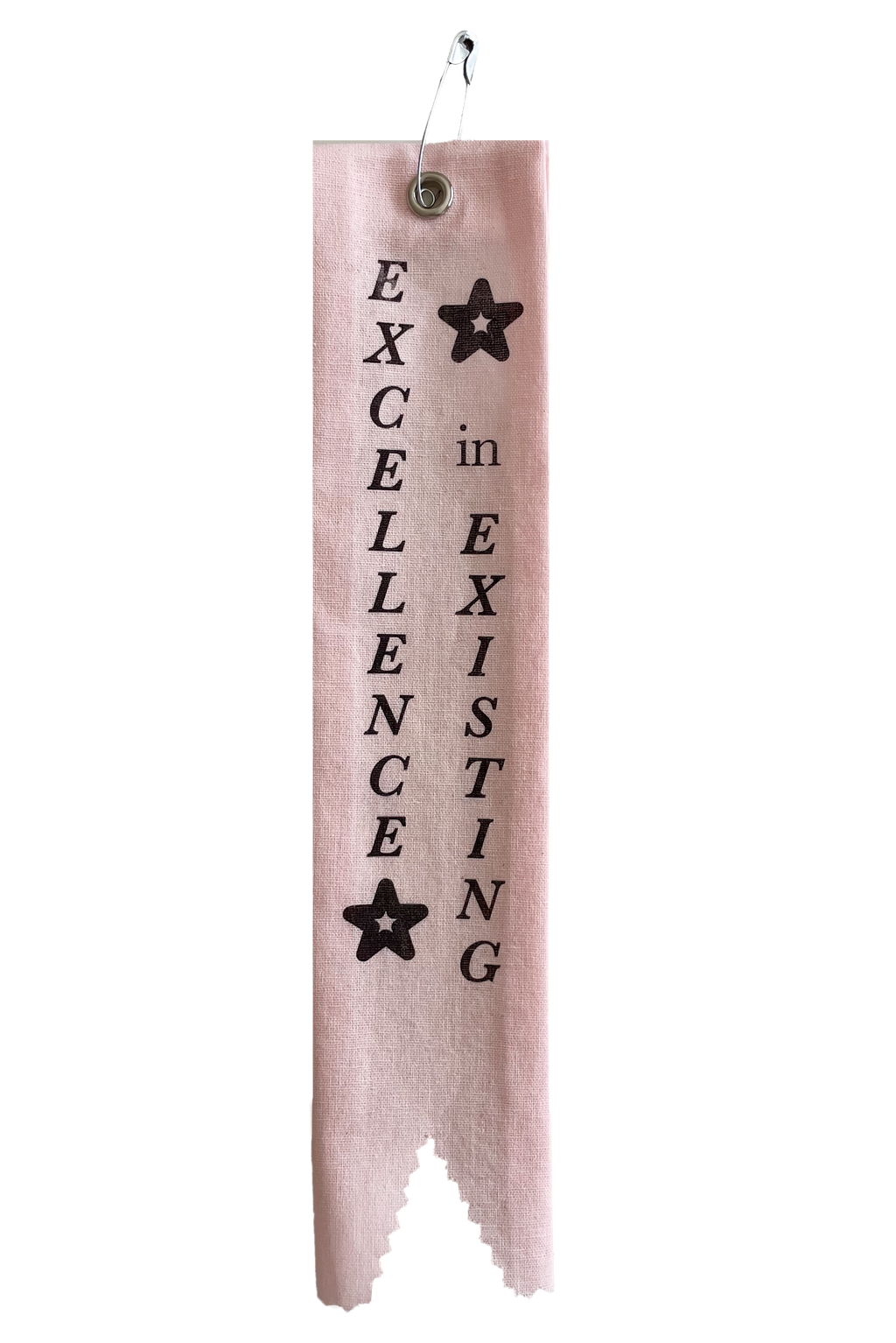 Excellence in Existing Ribbon