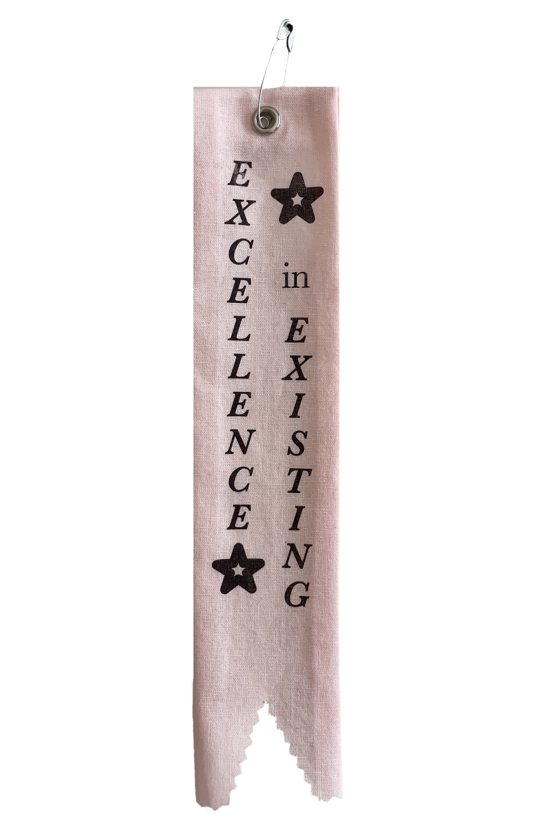 Excellence in Existing Ribbon